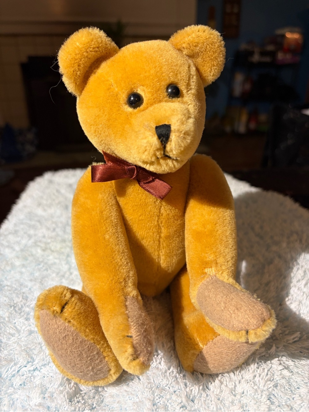 Boyd’s Bear